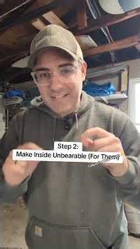 Keep Mice Out of Your House This Winter Here’s how to keep mice from turning your warm home into