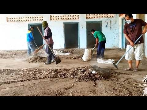 We Cleaned an Abandoned Cow Shed Filled with Manure — Incredible Transformation!