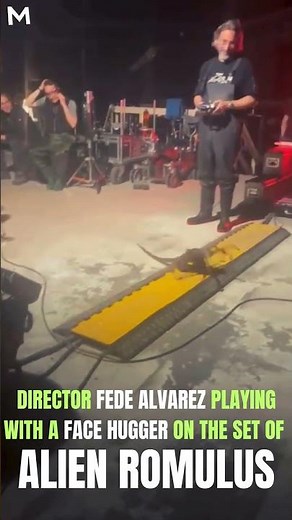 Alien Romulus Facehugger on the Loose! #shorts