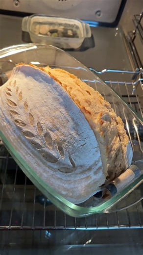 Pogradeci: Një Kënd i Bukur i Mikpritjes