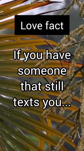 289K views · 547 reactions | What are your thoughts and experiences? . . . #marriagequote #couplelife #relationshipthoughts #relatablepost #couplequotes #loveandrelationships | Relationship Dating Quotes | Facebook