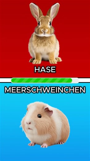 Elch ODER Bison als Haustier? Was würdest du eher ? #shorts #deutsch #quiz