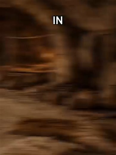 The Evolution of Knives: From Stone to Steel