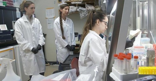 How soon could humans reverse the aging process with genetic engineering?