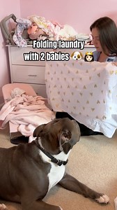 Folding laundry with my two little helpers. 🐾 🐶 My little Hippo and baby girl are making chores a whole lot cuter and cuddlier! #dogowner #dogmom #doglover #dogsofinstagram #petlover #spoileddog #cutedog #dogoftheday #americanbully #dogcontent #viralpitbulls #dogsandbabies #babies #newborn #momlife #momblogger #sahm #momcontent #wfhmom #baby #cutebaby #newbornbaby #familytime #familygoals | Hippo American bully