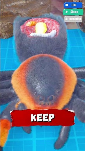 Tarantula Hawk Wasp vs Tarantula: A Deadly Hunt and Larvae’s Survival!