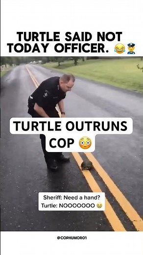 Turtle outruns cop.. Real 😳 #police #cophumor #cops