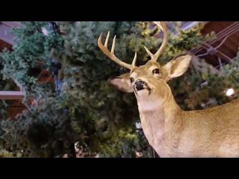 Under the Radar - DNR Outdoor Adventure Center