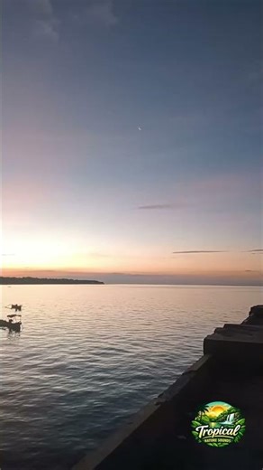 Peaceful Sunset at the Harbor | Boat Engine & Seabirds Sounds 🌅 #naturesounds