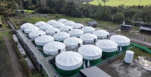 BLUMAR SMOLT PROJECT ENJOYS SUCCESS