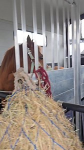 38K views · 286 reactions | And this is why you always carry a spare...