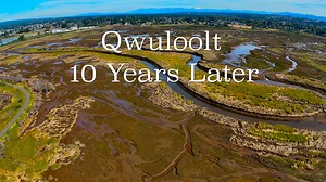 Qwuloolt 10 Years Later
