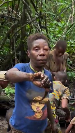 The Baka Pygmy women in the Cameroonian jungle employ traditional fishing techniques, specifically the prey method. 🇨🇲