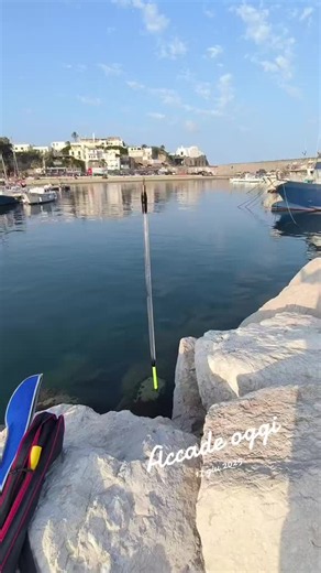 Lenza per porto in acque limpide: galleggiante a penna e finali