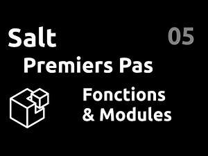 Premiers pas : fonctions et modules - #Salt 05