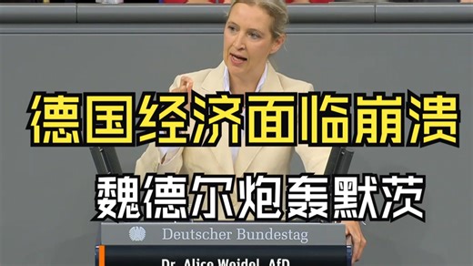 魏德尔警告“经济崩溃”，炮轰默茨政府【德国议会每天在吵什么10月16日】