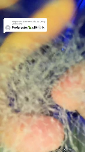 Pol ASMR (@pol_asmr) - ASMR con Polas y Telequito: Relájate con Sonidos Únicos