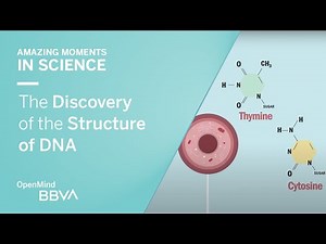 Developing understanding of genetics and lifestyle on health | Teaching Resources