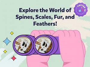 Animal Body Coverings