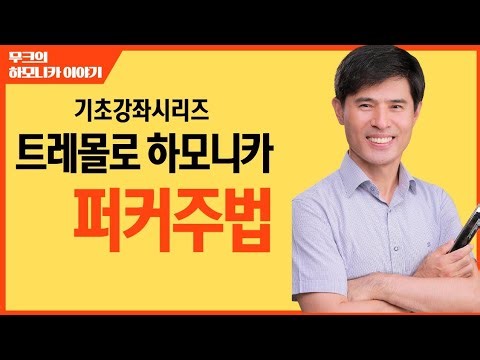 트레몰로 하모니카 기초의 모든 것! 기본자세와 퍼커 주법 완벽 가이드