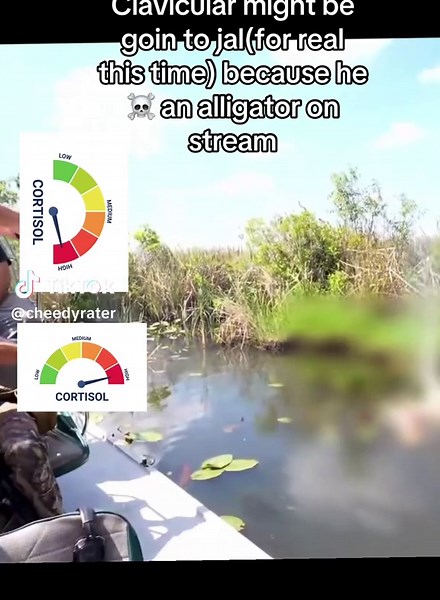 this guy😭🙏 #clavicular #stream #fyp | aligator