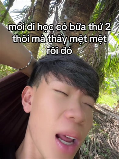 Mệt Mỏi Kì Nghỉ Tết: Những Lý Do Ai Cũng Hiểu
