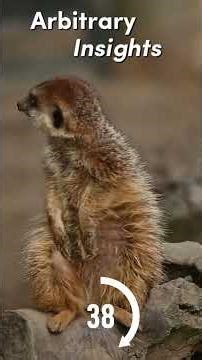 Ad Hominem in 60 Seconds #explained