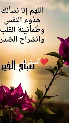 الضلم