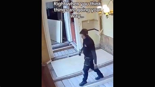 Daily Darwin: Saturday, December 13, 2025