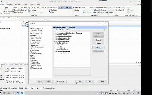 Passolo 2018 汉化演示