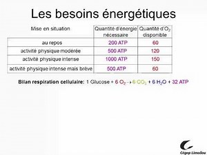 Le métabolisme énergétique: une application