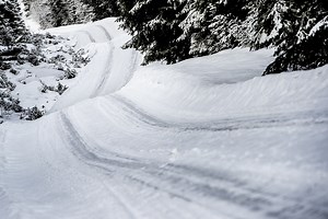 Reindeer forces Rally Sweden to cancel two WRC stages