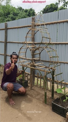 🎋✨ Creative Bamboo Trellis Idea! | Smart Support for Climbing Plants 🌱 #shorts #bambootrellis #diy