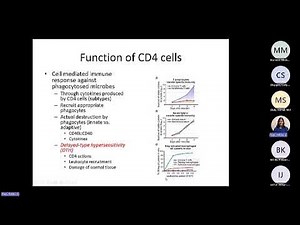 Ch 10 Abbas Differentiation and Function of CD4 Effector Cells (Raje)