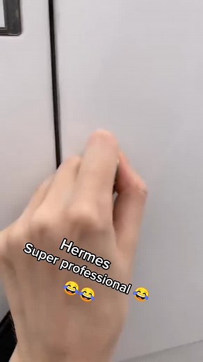 Unboxing a Humorous Package from Hermes