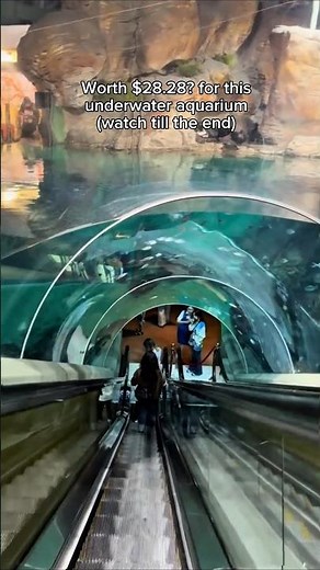 Shanghai's Most Insane Aquarium Experience 😱