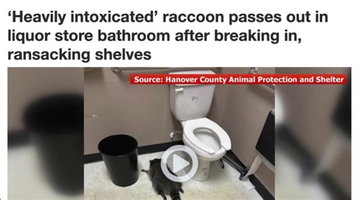 25 Bizarre Headlines That Are Actually Real