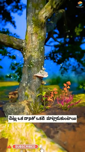 చెట్లు మాట్లాడుకుంటాయి ll TOT FACTS