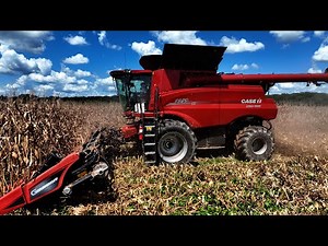 BACK TO CORN HARVEST IN ALABAMA