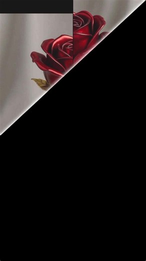Satya Aryadi — Satayadnoa804 CapCut Clip