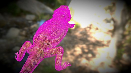 Bearded Dragon - Download Free 3D model by seanblayney