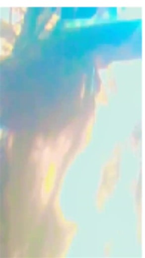 Seble Felmon (@seble.felmon)’s videos with original sound - mihret 21