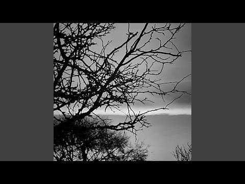 For The Roaming Spirts (Instrumental)