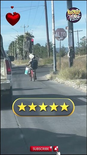 True Friendship Between Animals and Humans