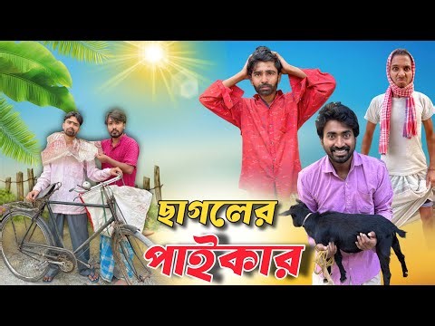 ছাগলের ব্যবসায়ী । Cagoler Babsai . New Bangla Comedy Video 2026