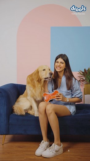 15K views · 27 reactions | Fetching laughs and devouring treats!  During snack-time, don’t forget to give your furry babies healthy & delicious treats  and keep the wagging tails on! Drools - Made with 100% Real Chicken, 100% Nutrition #SnackTimeFun #HealthyAndDelicious #trending #treats #RealChickenGoodness #HappyPets #JustDroolIt #NoByProducts #DroolsTreats #DroolsIndia #Drools #PetFood #PetParents | Drools | Facebook