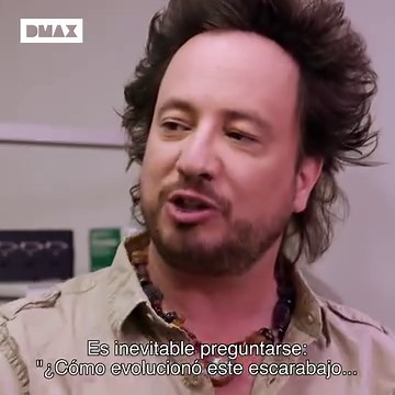 ¿Es posible que este escarabajo pruebe la existencia de aliens? Analizamos su poder fisiológico en “Alienígenas”, los jueves a las 22:30 en DMAX.Episodios completos gratis en DMAX.es 👉🏻 https://bit.ly/SeriesAlienigenas . . . #DMAX2023 #programas #television #web #alienigenas #escarabajo #poder #fisiologico | DMAX España