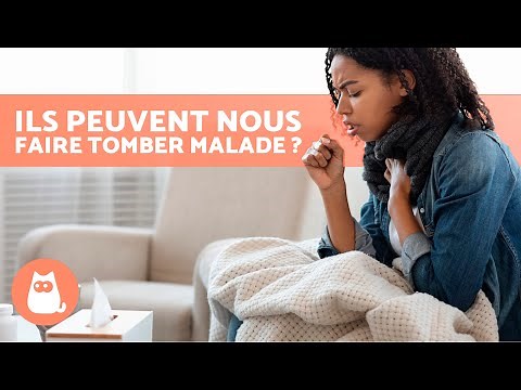 10 MALADIES que les CHATS TRANSMETTENT à L'HOMME 🐱⚠️ Ils PEUVENT NOUS INFECTER ?