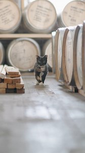 381 reactions · 45 shares | Uncovering the secrets across NY, NJ & CT! Watch all-new episodes Wednesdays at 7:30 pm on News 12 and News 12 New York - https://bit.ly/N12NYWatchNow | News 12 | Facebook