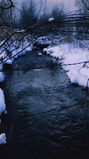 Gothic River | Cradles | ASMR Nature Ambience ❄️ Raw (NO AI)